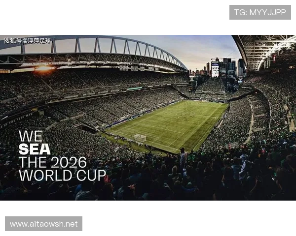 伟易达足球（伟易达足球场）世界杯体育论坛